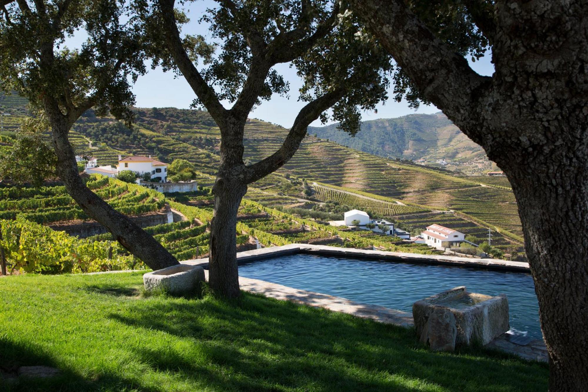 Quinta Da Corte Villa Valenca do Douro Exterior photo